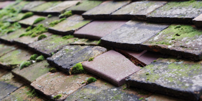 Queen Adelaide roof repair costs